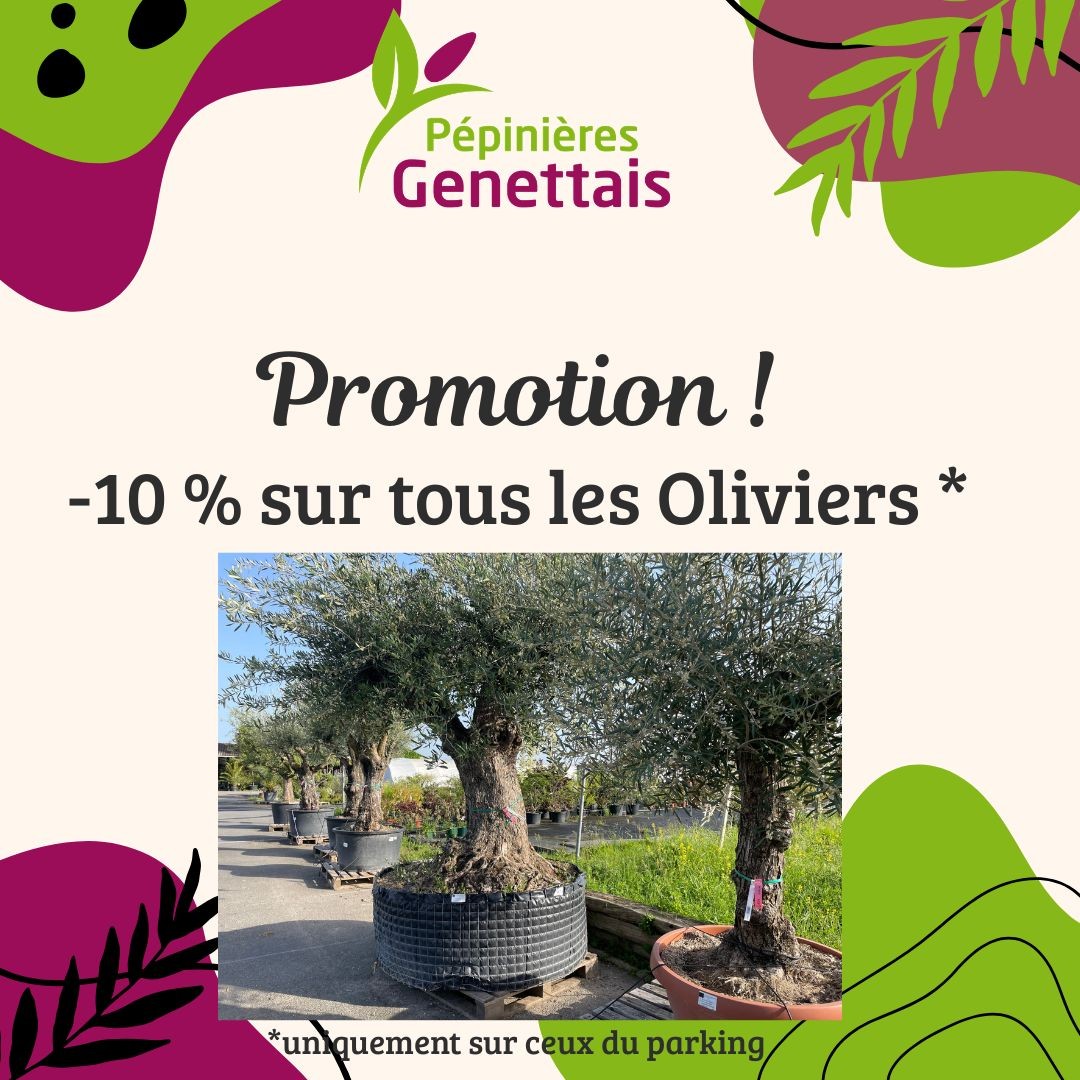 Information du moment